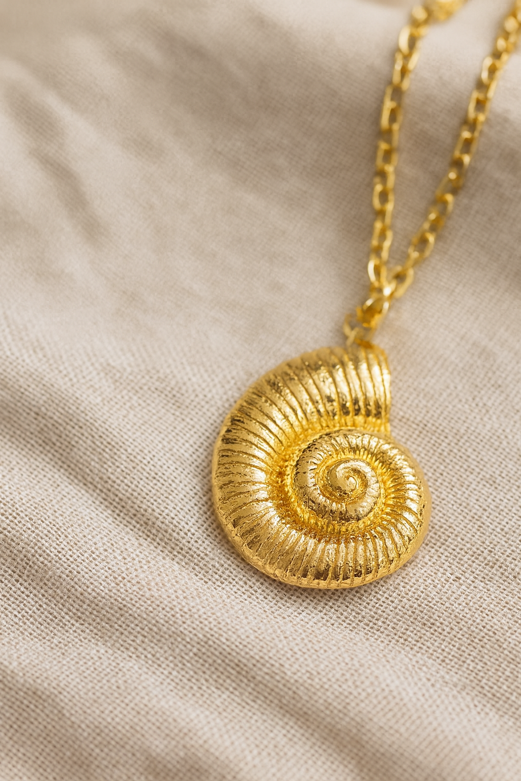 Collier coquillage